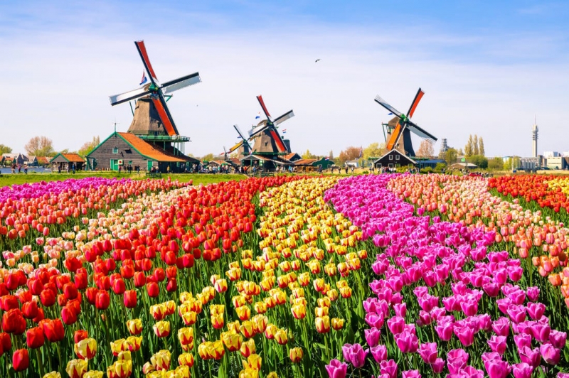 Почему правительство хочет, чтобы туристы перестали называть Нидерланды «Голландией»? , Нидерланды 