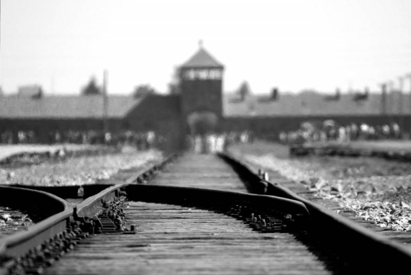 Пользователи западных стран возмутились заявлением США об освобождении Освенцима американцами