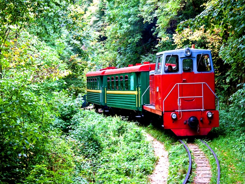 Туристов оставили без экскурсий: приставы опечатали туристический поезд в Гуамском ущелье , Россия 
