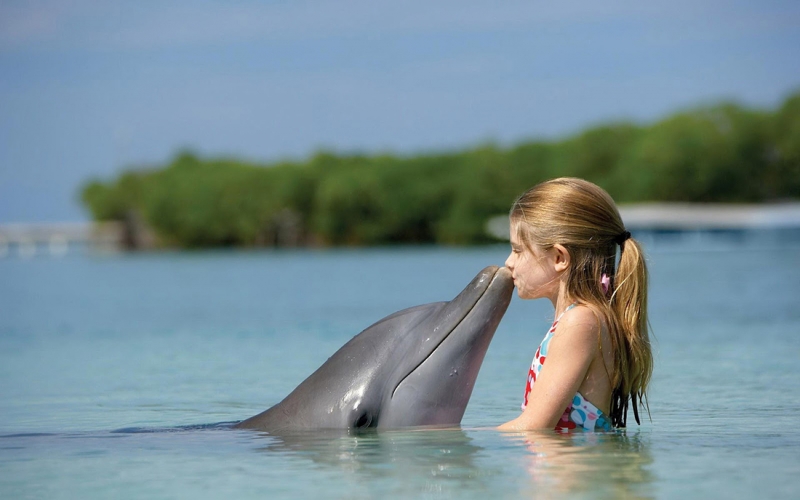 В Канкуне построят крупнейший морской парк с дельфинами , Мексика 
