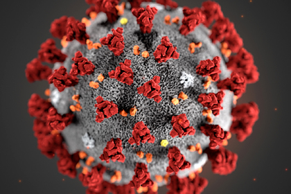 Предсказана скорая масштабная пандемия коронавируса