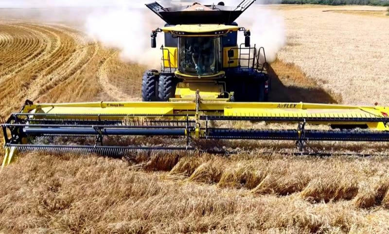 Убыточный сверхурожай: Россия упускает лидерство на мировом рынке зерна