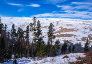 Проведи каникулы в Лагонаки