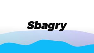 Что из себя представляет сервис “Sbagry”