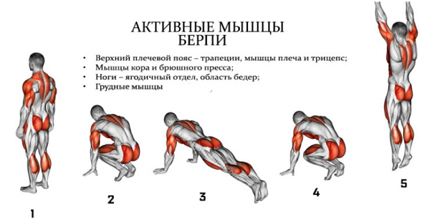 Берпи: что это? Техника выполнения и польза упражнения