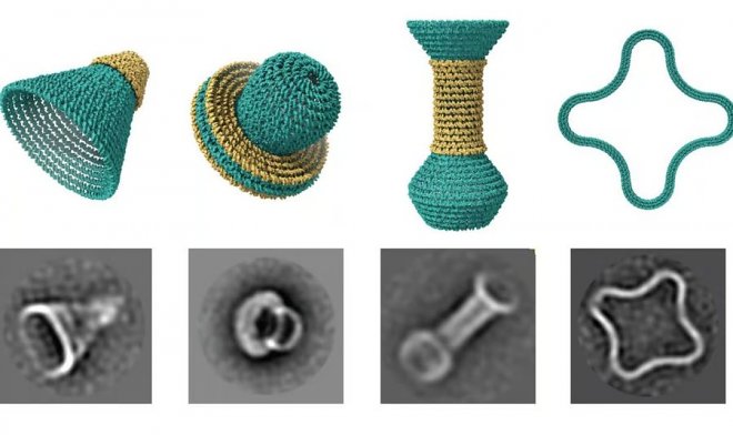 Технология ДНК-оригами позволила создавать наноконтейнеры из молекул 