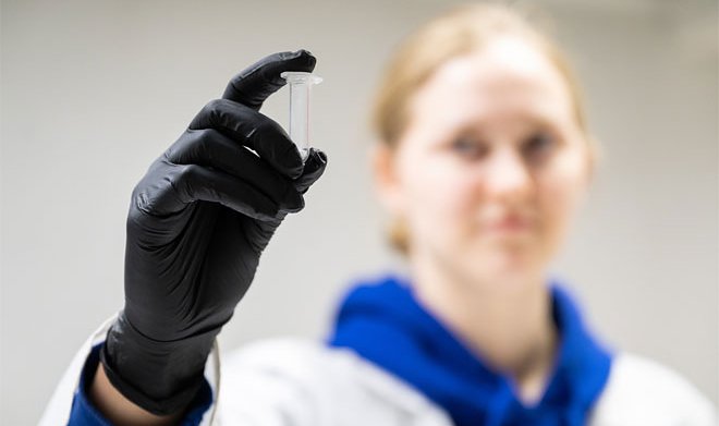 Ученые «МИСиС» разработали защиту от бактерий для костных имплантатов