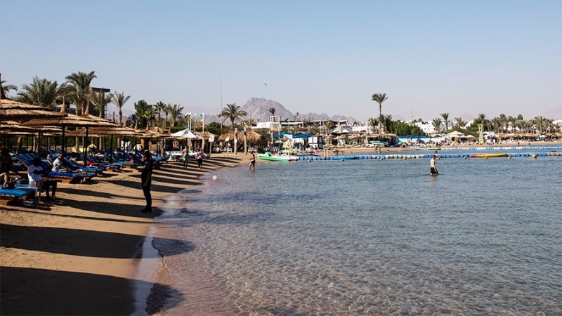 В АТОР заявили о восстановлении спроса на туры в Египет после нападения акулы