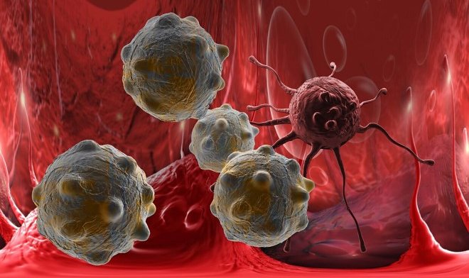 В Сеченовском университете выяснили, как вирусы могут бороться с опухолями 