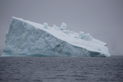 Антарктида побила абсолютный рекорд температуры