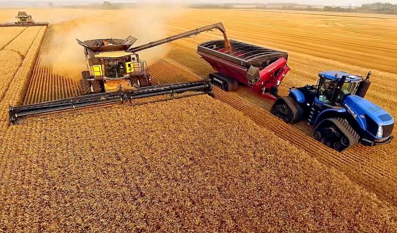 Чем обусловлен запрет на экспорт российской пшеницы