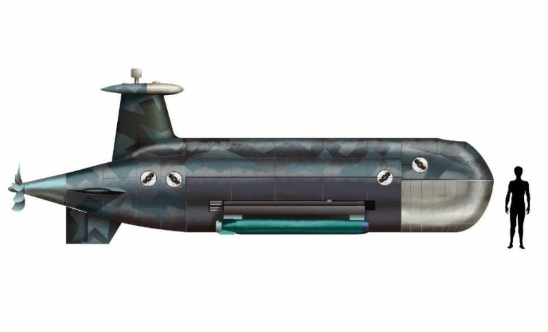 Military Watch: Российский «Цефалопод» призван топить американские атомные подлодки