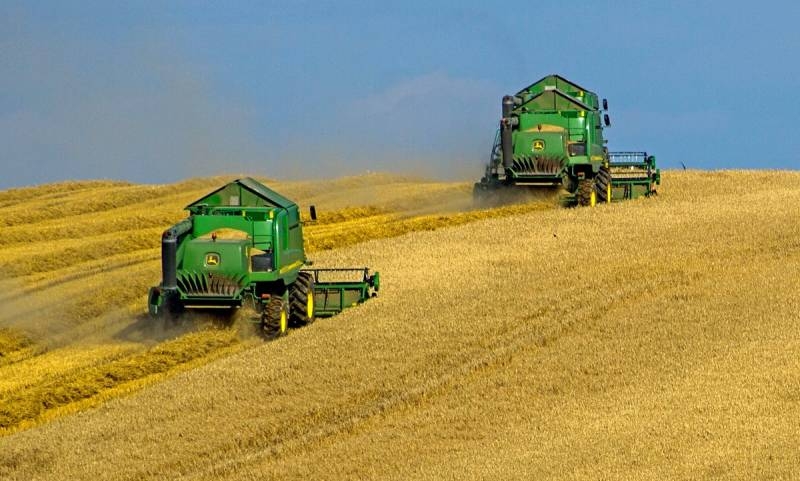 Ограничения экспорта: почему России нужно быстрее снять квоты на продажу зерна