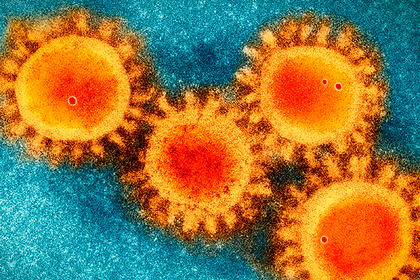 Раскрыта настоящая природа коронавируса