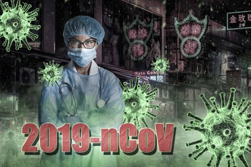 Вслед за коронавирусом в Китае зарегистрирована вспышка птичьего гриппа